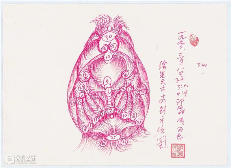赖恺玲 |《郭凤怡与“她”验宇宙》节选 Kathleen M. Ryor 郭凤怡 赖恺玲 宇宙 美国 美术 馆个展 遥视 Fengyi 纽约绘画中心 萨凡纳艺术与设计学院美术馆 崇真艺客
